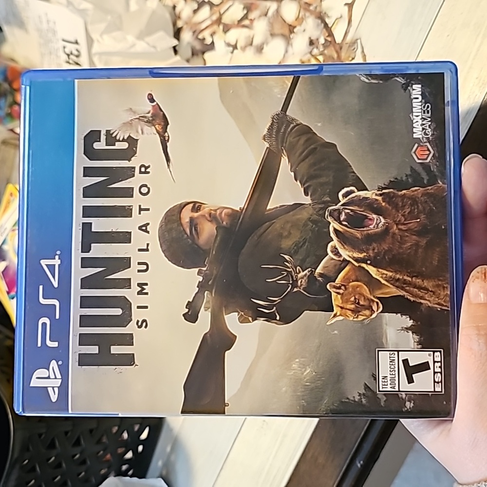 PS4 Game